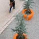 Loop Cone Planter